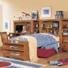 3/3 BOOKCASE HEADBOARD, 3/3 STORAGE FOOTBOARD By Lea Industries From Design Center Furniture Store of Orange County CA
