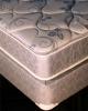 510-5 By Corsicana Bedding From Metro Furniture Show