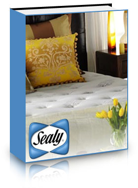 Catalogue Cover
